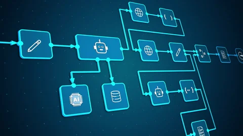Workflow Diagram